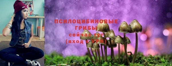 mdpv Балабаново