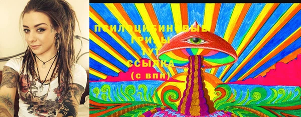 МДПВ Саяногорск