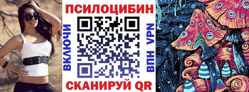 Галлюциногенные грибы мицелий  нарко площадка телеграм  Заозёрск 